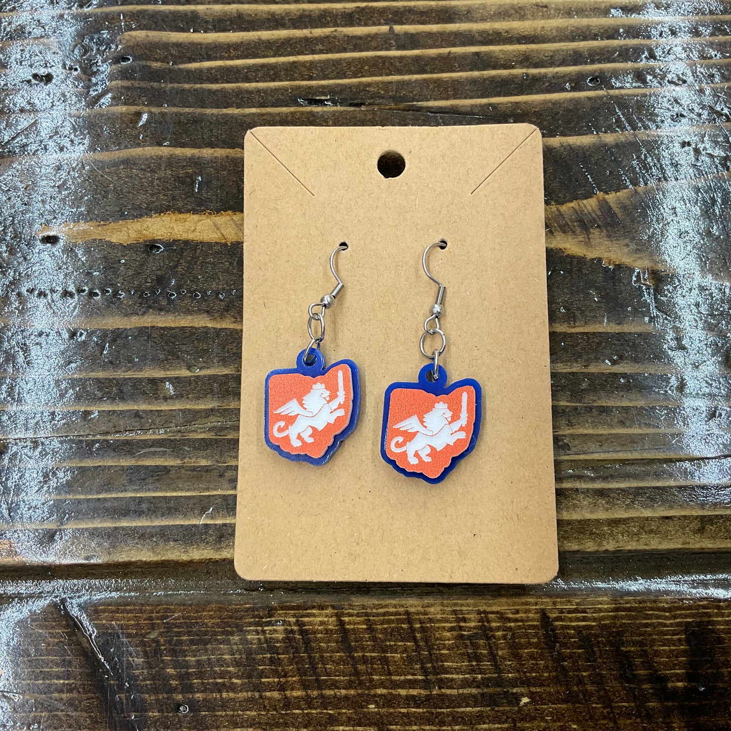 Wood & Acrylic Dangle Earrings