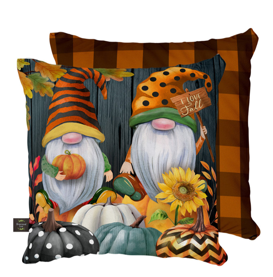 Outdoor/Indoor Pillows