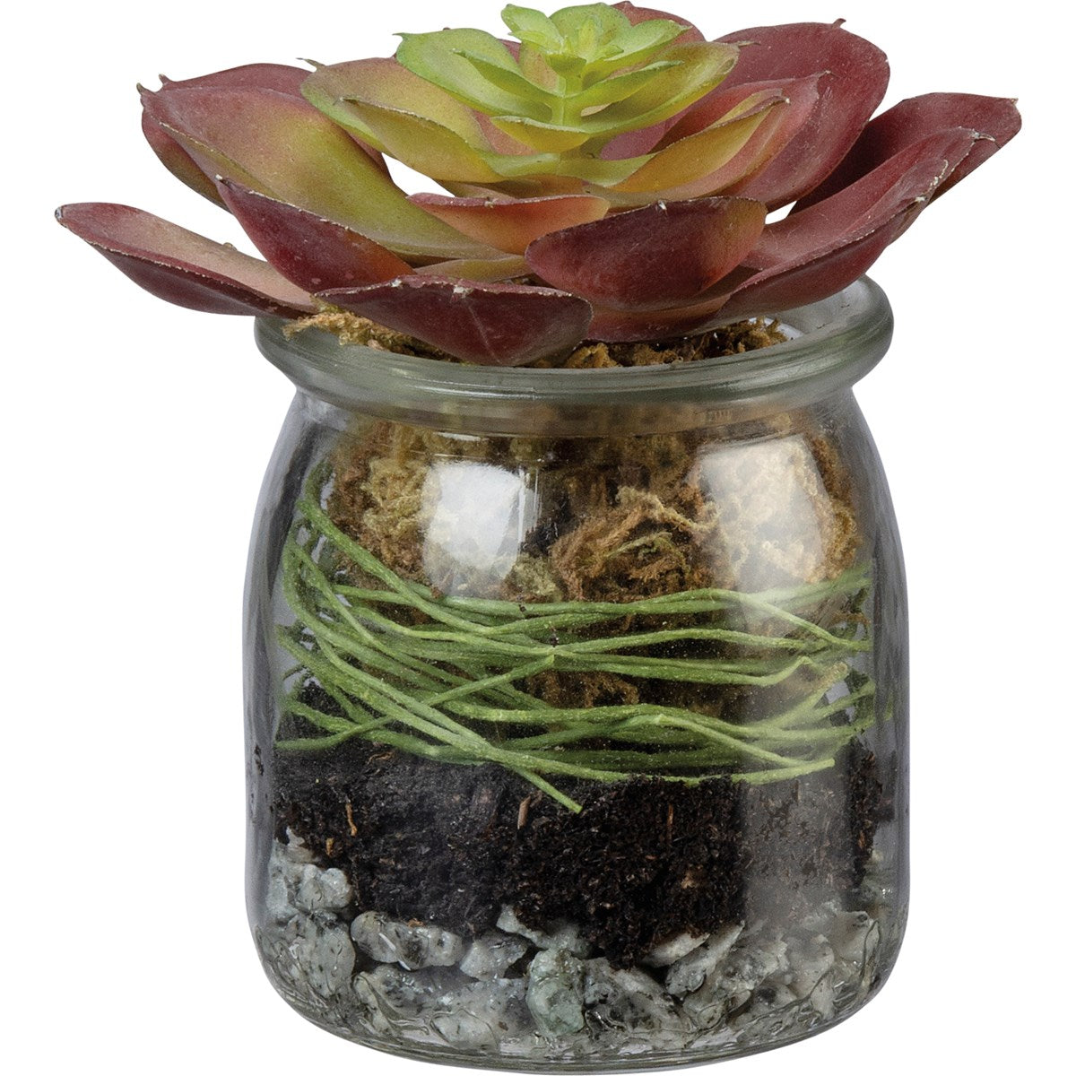 Succulents in Glass