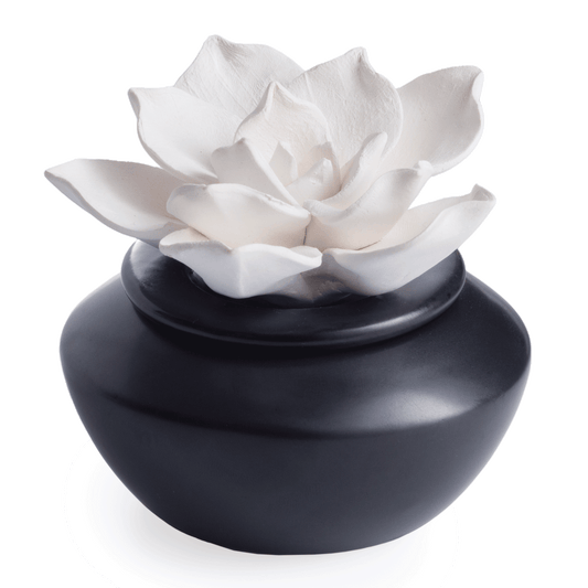 Porcelain Essential Oil Diffusers (includes Peppermint Oil)