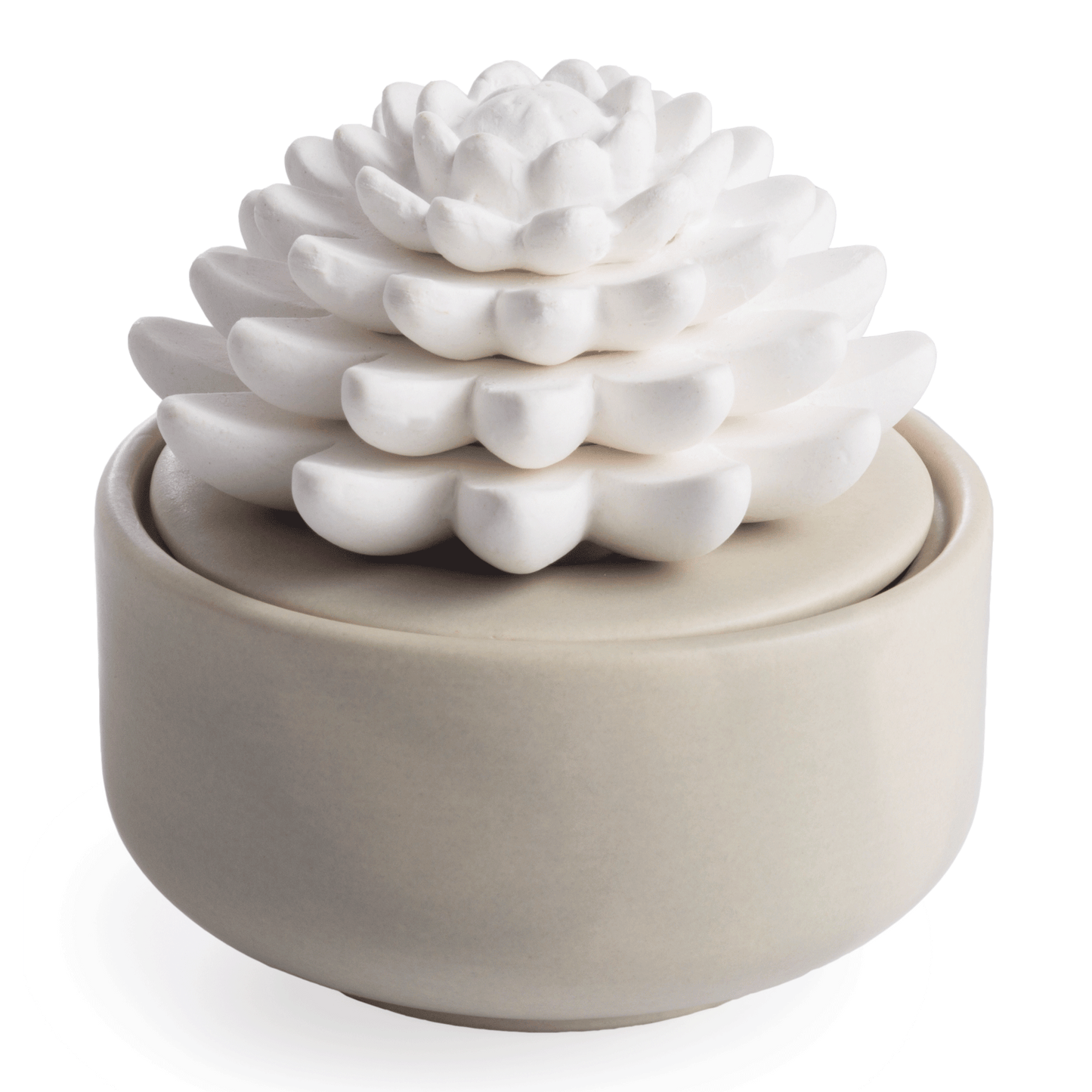 Porcelain Essential Oil Diffusers (includes Peppermint Oil)